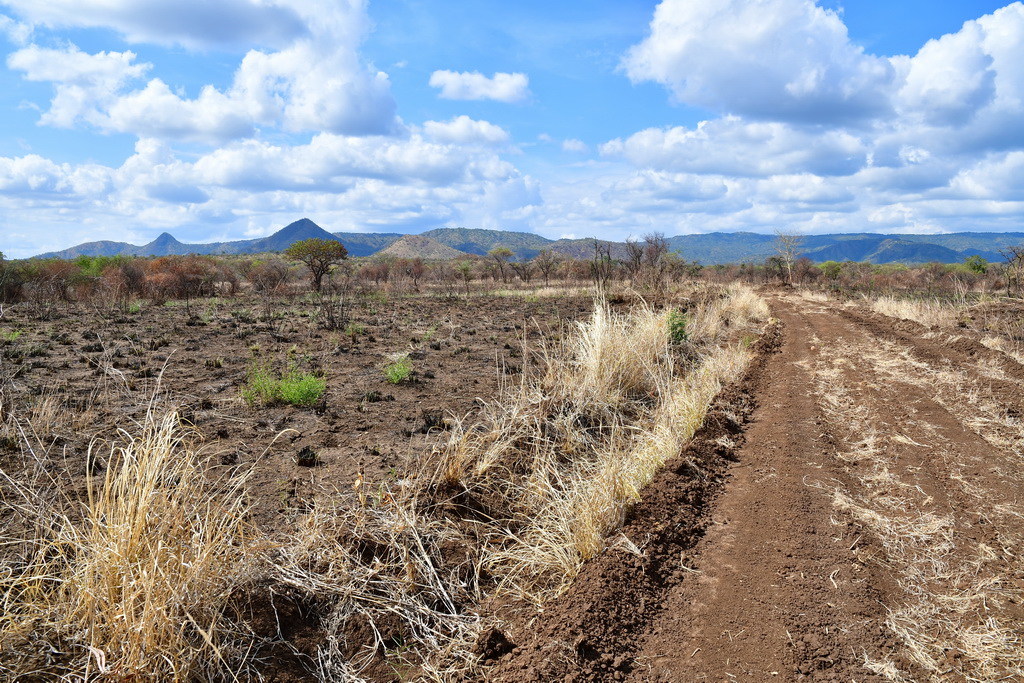 Through Omo National Park